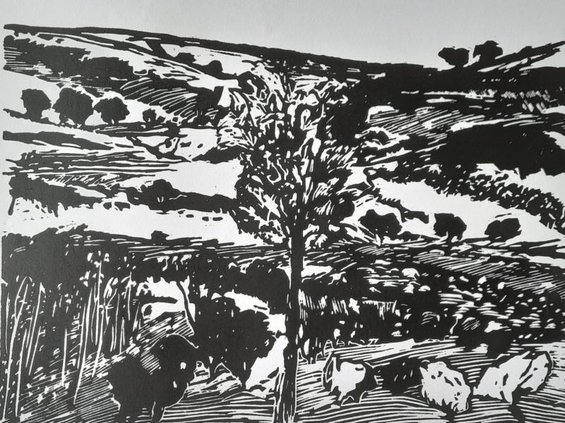 Paysage