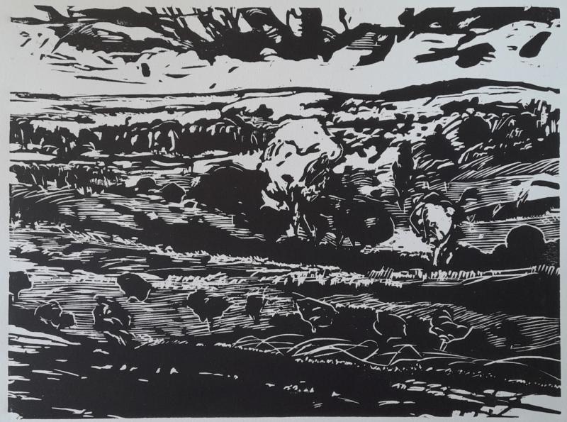 Paysage 