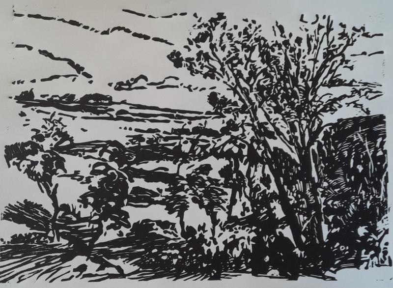 Paysage