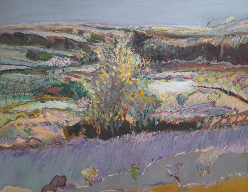 Paysage