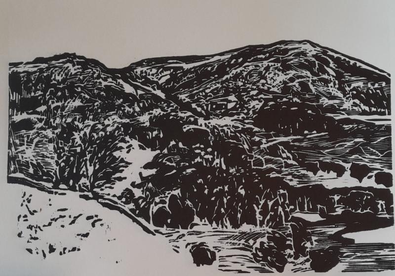 Paysage 