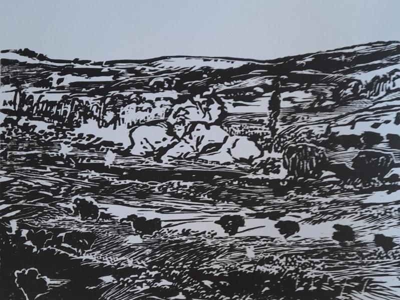 Paysage