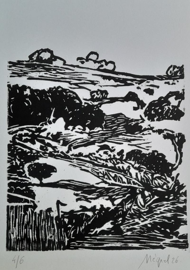 Paysage 