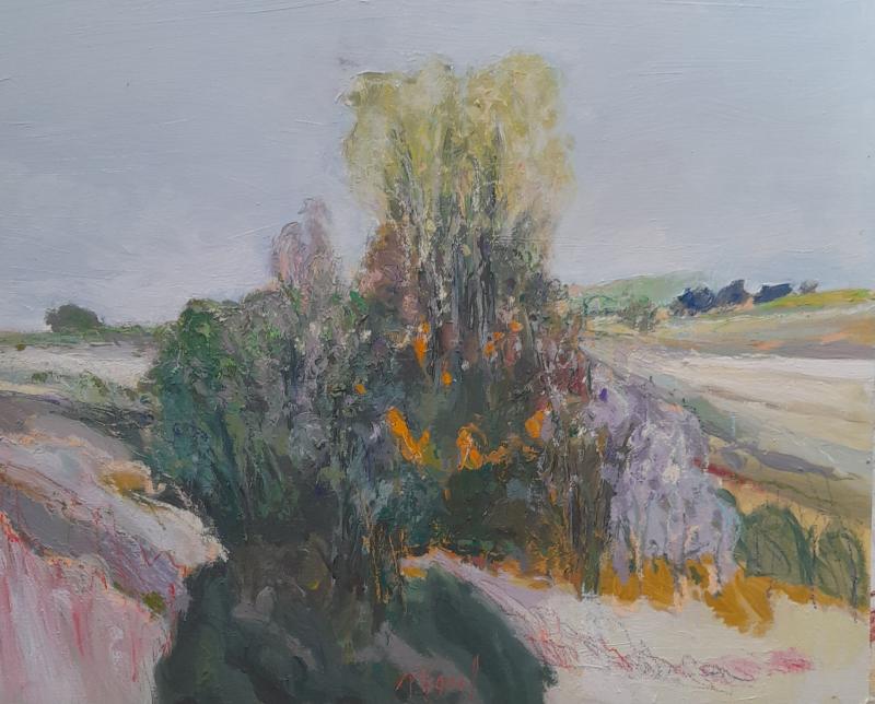 Paysage 