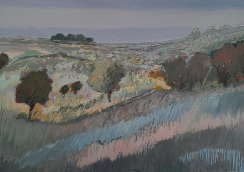 Paysage